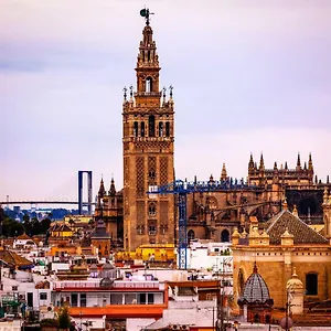 Blossom Elegant And Bright 2 - 4px Seville